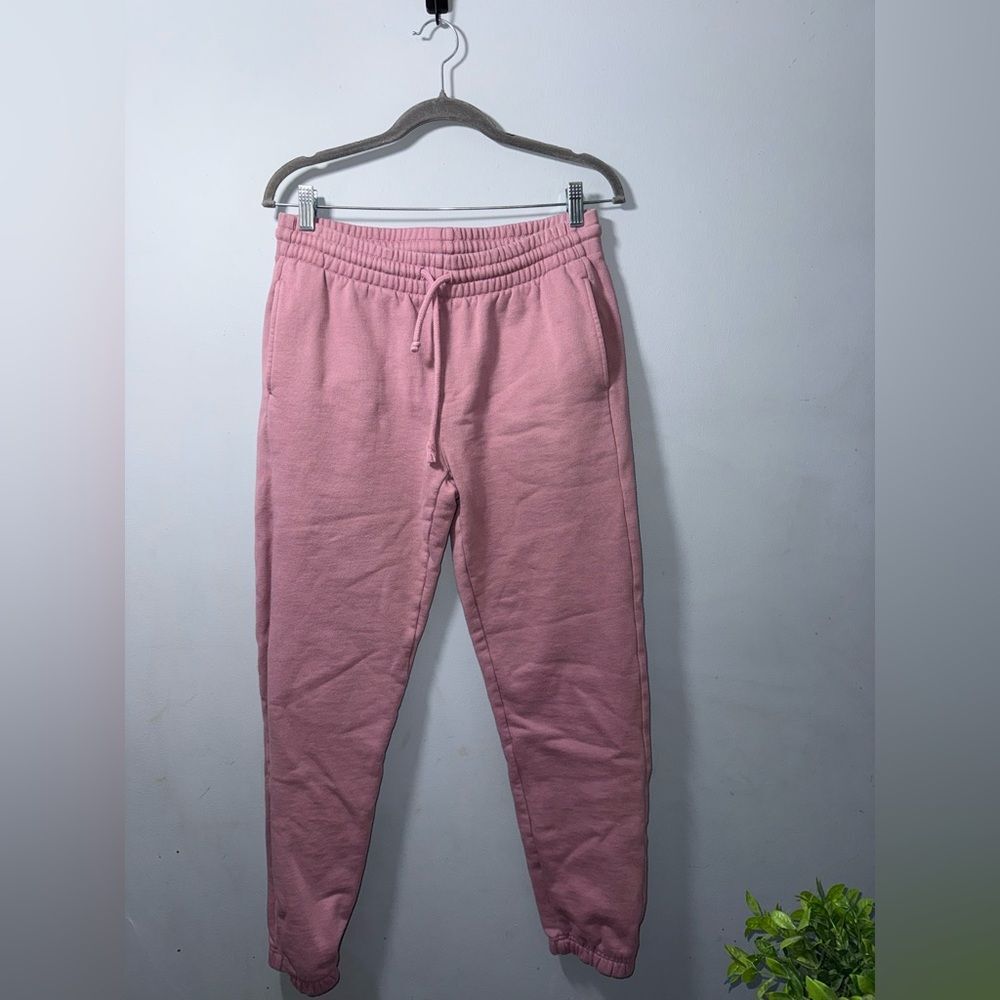 Aritzia x TNa Extra fleece Boyfriend Sweatpants size Small EUC purple